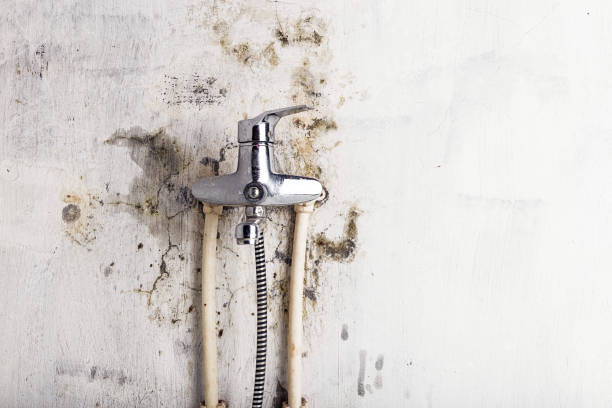 Best Residential Mold Remediation in Firebaugh, CA