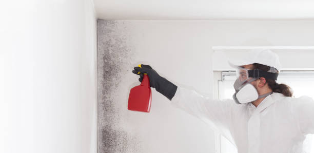 Best Crawl Space Mold Remediation in Firebaugh, CA
